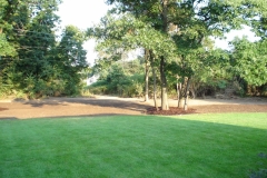 Lawn Install