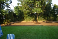 Lawn Install 2