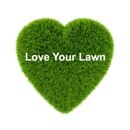 Lawn Fertilize Elkhart Granger Love It