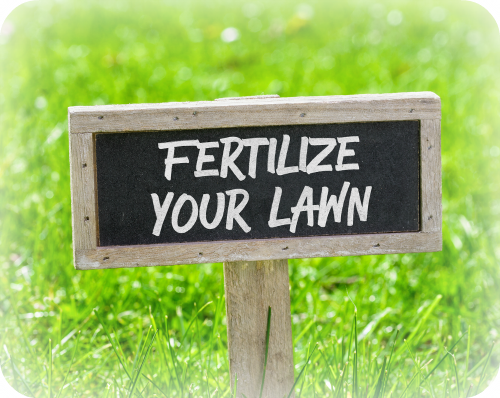 Lawn Care / Fertilizing Services by Lush Lawns, Granger, Elkhart, IN